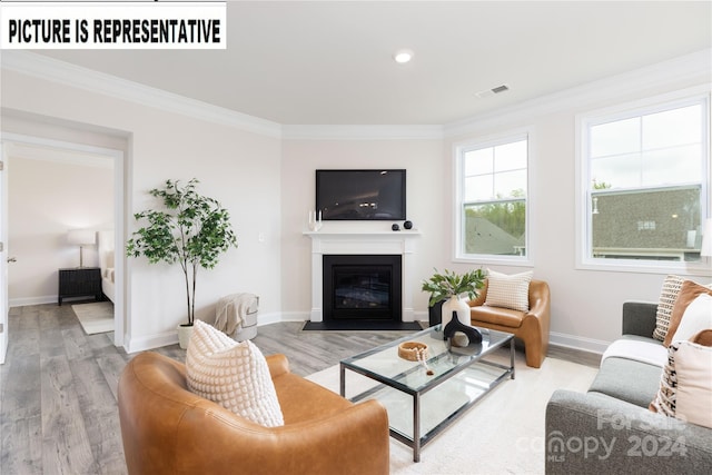 living room featuring hardwood / wood-style floors and crown molding