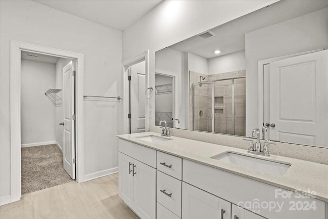 bathroom featuring vanity and walk in shower