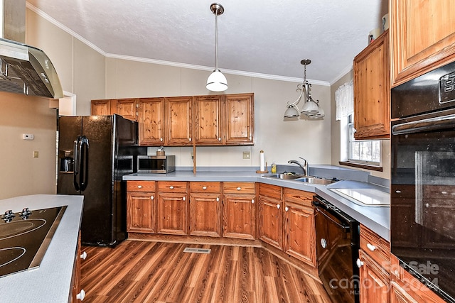 kitchen with sink, pendant lighting, vaulted ceiling, extractor fan, and black appliances