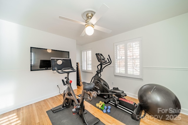 exercise room featuring hardwood / wood-style flooring and ceiling fan