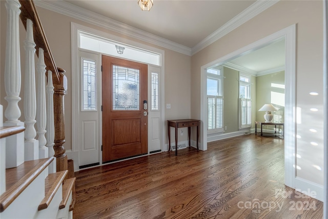 entryway featuring dark wood-type flooring and crown molding