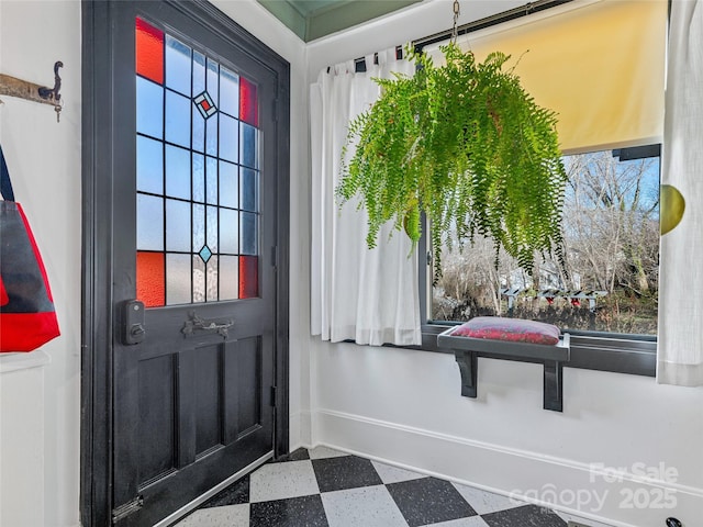 entryway featuring a wealth of natural light