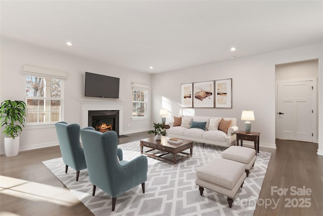 living room featuring hardwood / wood-style floors