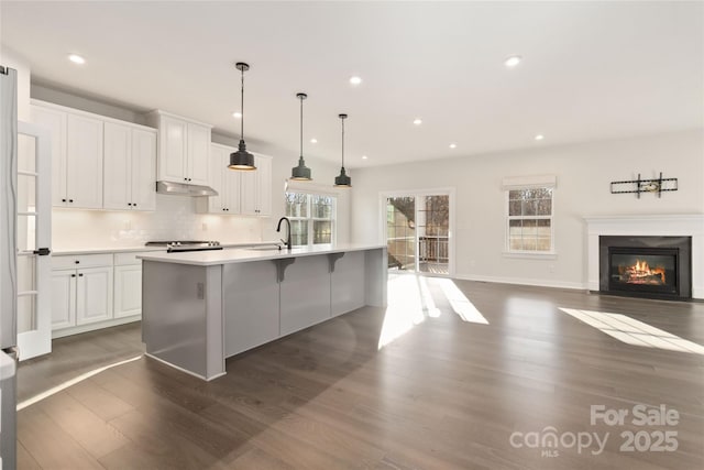 kitchen with pendant lighting, a large island, dark hardwood / wood-style flooring, and white cabinets