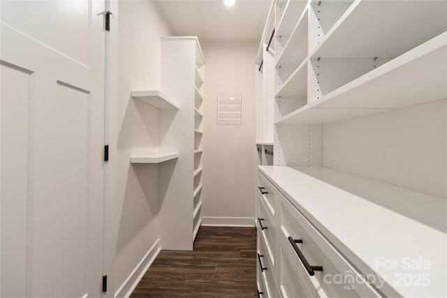 spacious closet featuring dark hardwood / wood-style flooring