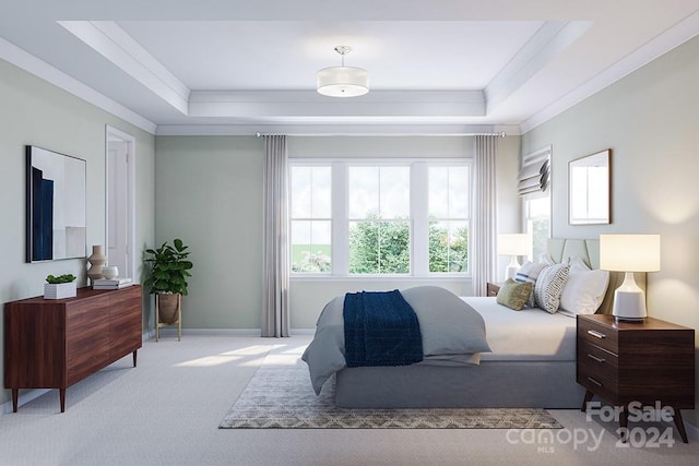 carpeted bedroom featuring a tray ceiling and crown molding