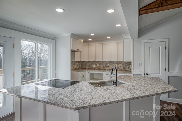 kitchen with white cabinetry, a large island with sink, light stone counters, and sink