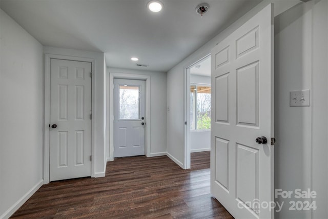 foyer entrance featuring dark hardwood / wood-style floors