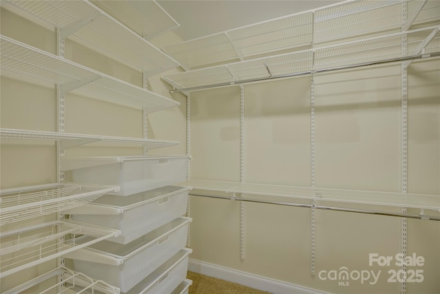 view of spacious closet