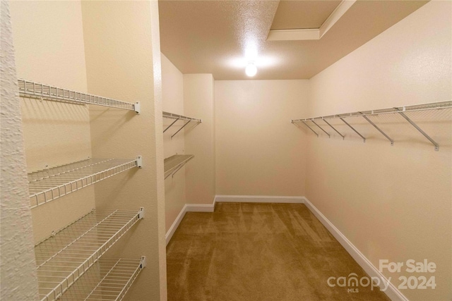 walk in closet with carpet