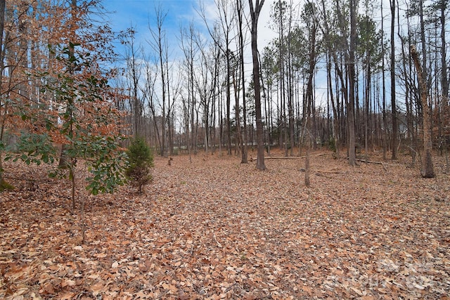 view of local wilderness