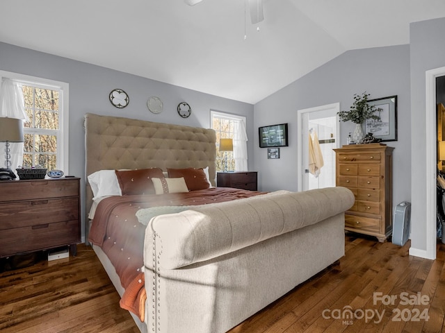 bedroom with multiple windows, dark hardwood / wood-style flooring, ensuite bath, and ceiling fan