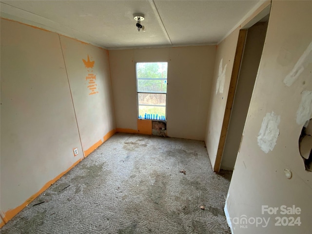 spare room featuring carpet floors