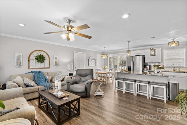 living room with ceiling fan, ornamental molding, dark hardwood / wood-style floors, and sink