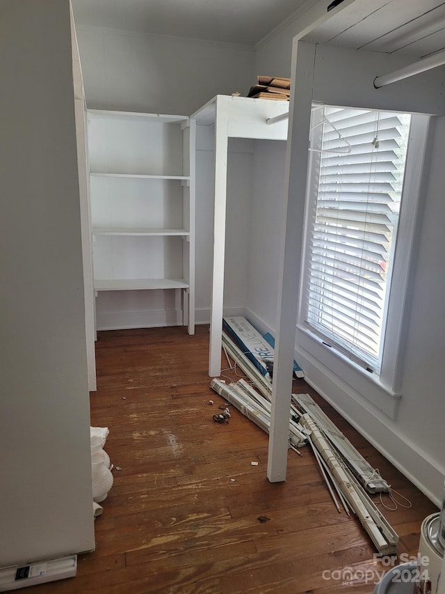 walk in closet featuring dark hardwood / wood-style flooring