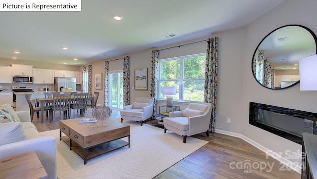 living room featuring hardwood / wood-style floors