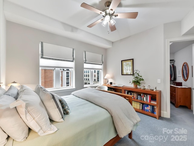 bedroom featuring carpet flooring, ceiling fan, a walk in closet, and a closet