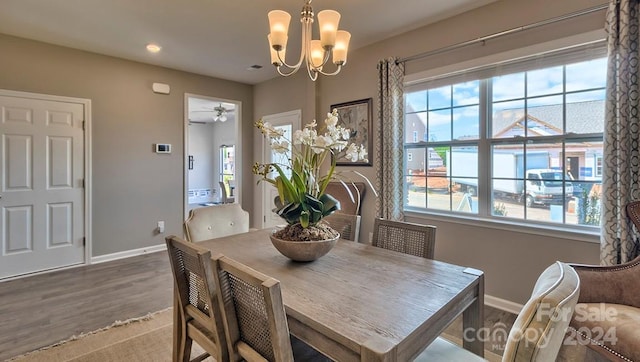 dining space with ceiling fan with notable chandelier, a healthy amount of sunlight, and wood-type flooring