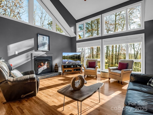 living room featuring plenty of natural light, high vaulted ceiling, and wood-type flooring