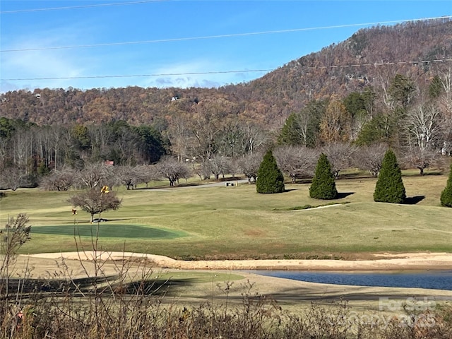 view of community featuring a mountain view and a yard