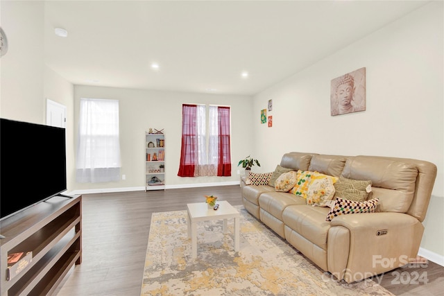 living room featuring plenty of natural light and wood-type flooring