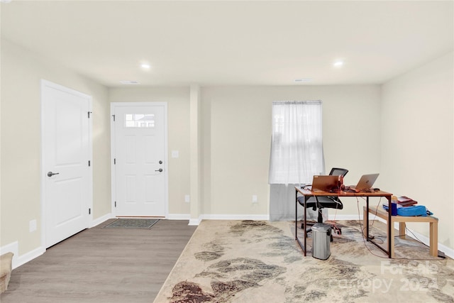 entryway with hardwood / wood-style floors and plenty of natural light