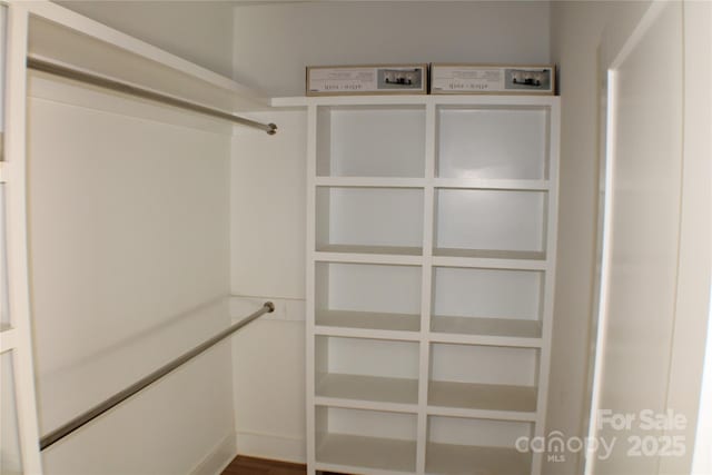 view of walk in closet