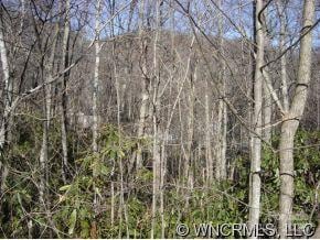 Listing photo 3 for 6PT Paradise Ln, Waynesville NC 28785