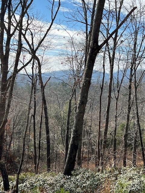 00 Orchard View Trl Unit 11, Spruce Pine NC, 28777 land for sale