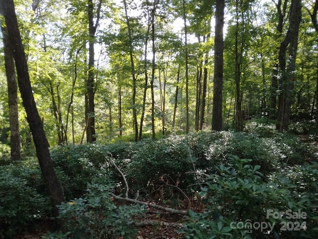 Listing photo 2 for 00 Orchard View Trl Unit 11, Spruce Pine NC 28777