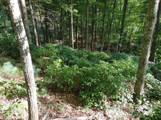 Listing photo 3 for 00 Orchard View Trl Unit 11, Spruce Pine NC 28777