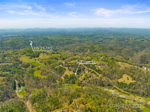 drone / aerial view with a mountain view