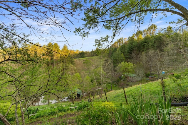 view of local wilderness