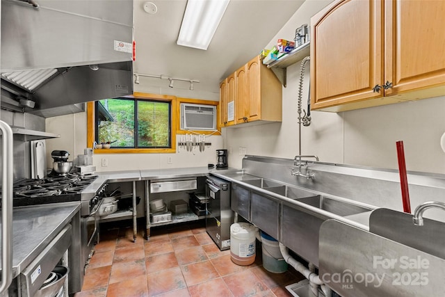 kitchen featuring track lighting, extractor fan, light brown cabinets, black dishwasher, and a wall unit AC