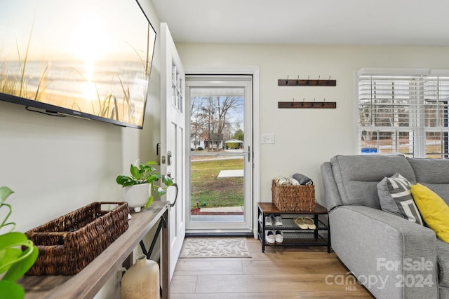 entrance foyer featuring light hardwood / wood-style floors