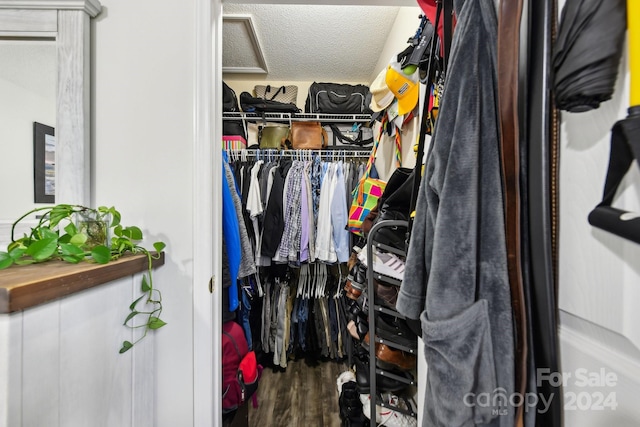 spacious closet with hardwood / wood-style floors