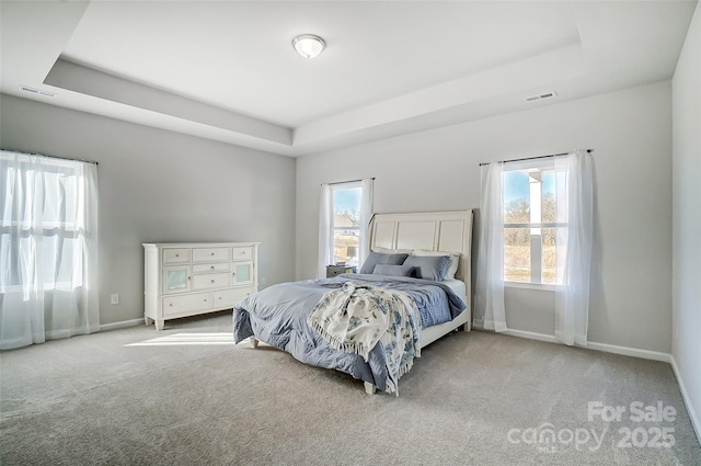 carpeted bedroom with a tray ceiling