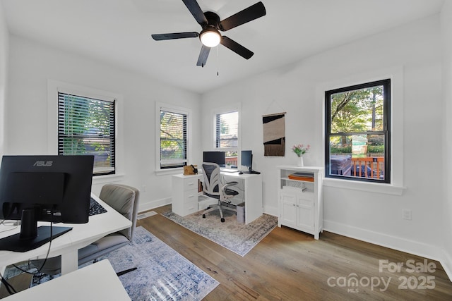 office featuring hardwood / wood-style floors, ceiling fan, and a wealth of natural light