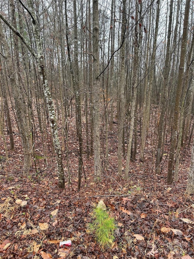 LOT14 Willow Ridge Rd, Lincolnton NC, 28092 land for sale