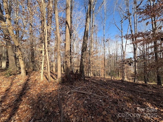 view of nature featuring a wooded view