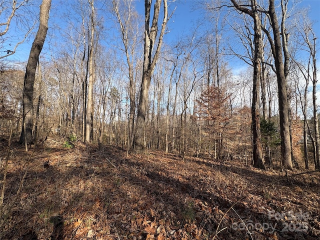 view of local wilderness with a view of trees