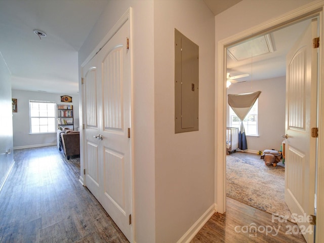 corridor featuring electric panel and hardwood / wood-style flooring