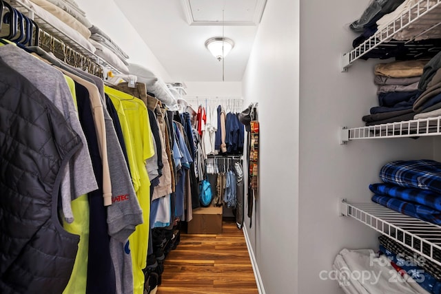 walk in closet featuring dark hardwood / wood-style floors