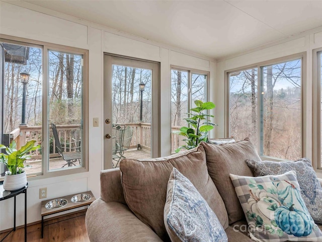 sunroom with a healthy amount of sunlight