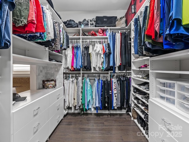 spacious closet featuring dark hardwood / wood-style flooring