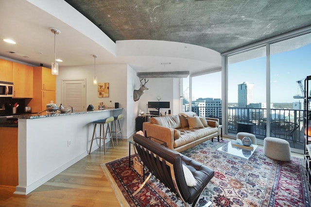 living room featuring light wood-type flooring and a wall of windows