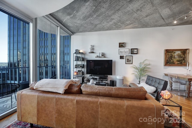 living room with hardwood / wood-style floors and a wall of windows