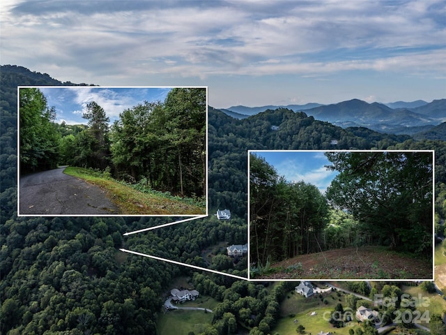 Listing photo 3 for TBD Rimesdale Way, Waynesville NC 28785