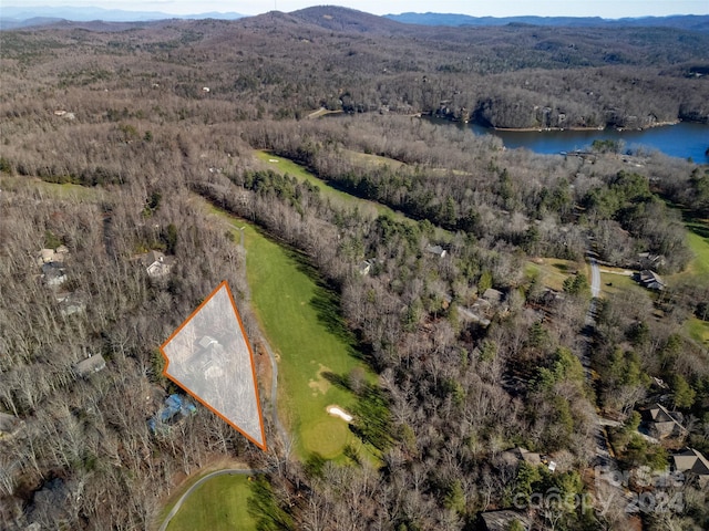 drone / aerial view with a water and mountain view