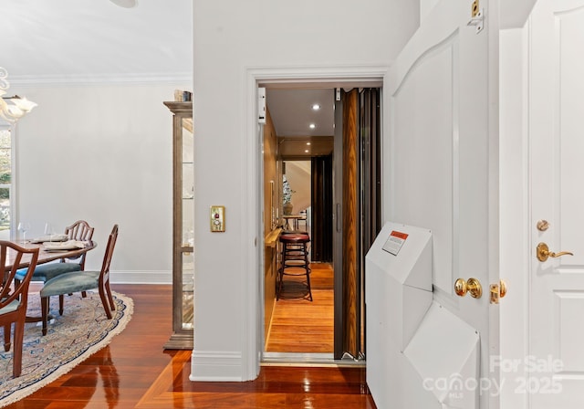 hallway featuring crown molding and dark hardwood / wood-style flooring